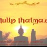 Siam Tulip Thaimassage & Wellness, Stuttgart West