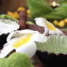 Nittayas traditionelle Thai-Massage München