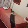 Arokaya Thaimassage Ingolstadt